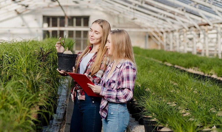 Agriculture Business Ideas: Exploring Opportunities in the Agribusiness Sector